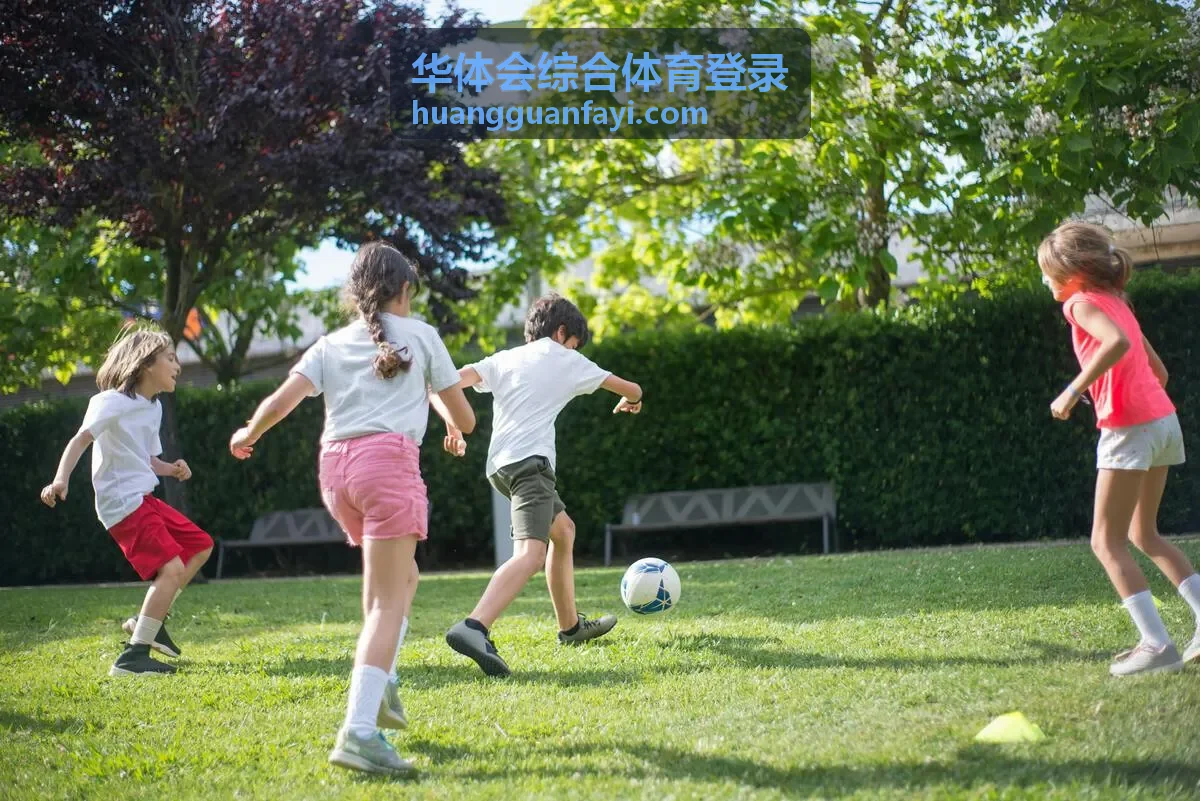 华体会综合体育登录账户验证与安全确认操作示意